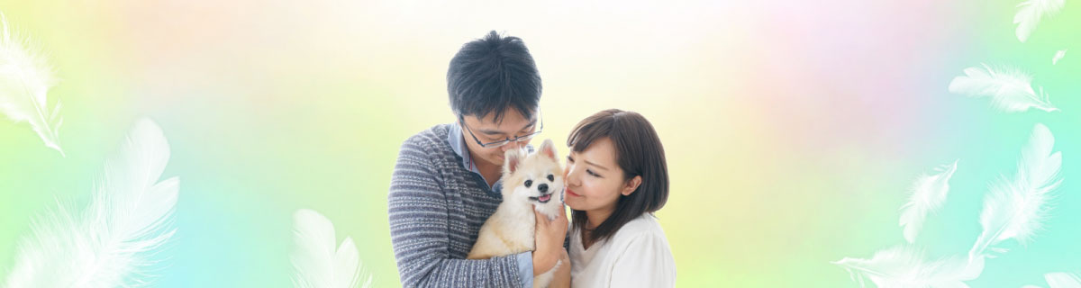 大切な家族の一員のペットにも供養を