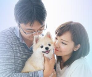 大切な家族の一員のペットにも供養を