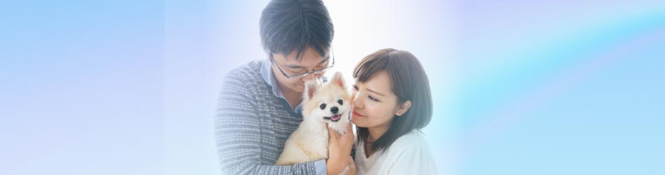 大切な家族の一員のペットにも供養を