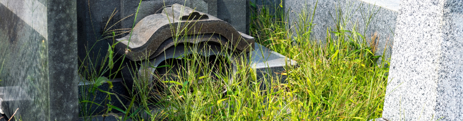 モルタル施工の防草対策