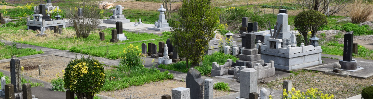 お墓の植木伐採