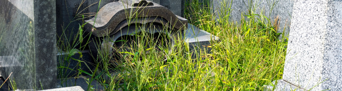 モルタル施工の防草対策