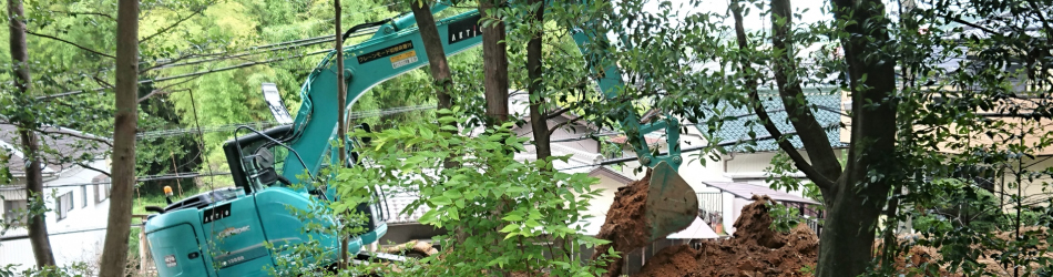 お墓の植木抜根