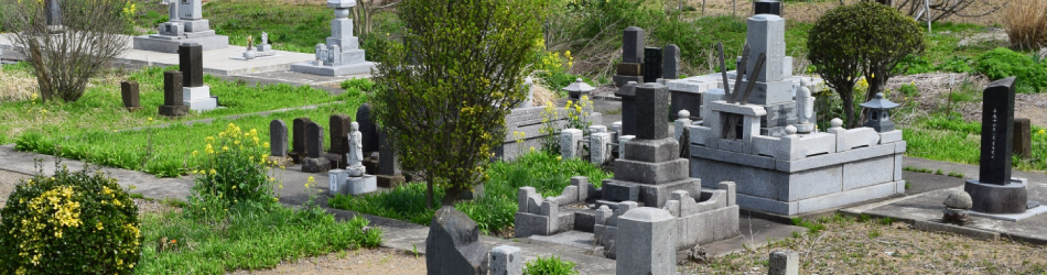 お墓の植木伐採